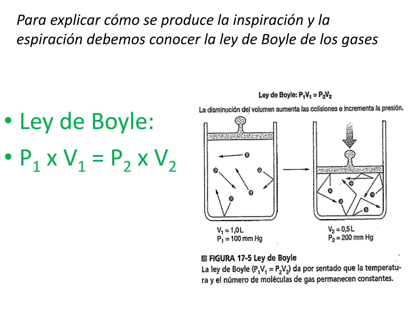 Dra Alejandra Yeves
Antes de comenzar con la clase de sistema respiratorio vamos a
ver una pequeña introducción de sistema cardiovascular..
