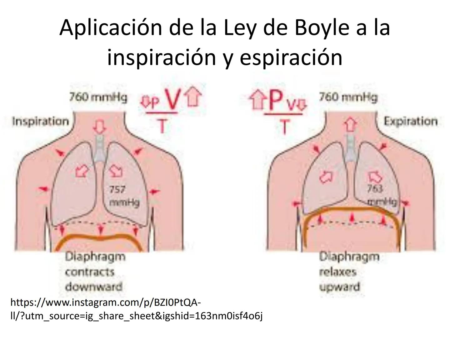 Dra Alejandra Yeves
Antes de comenzar con la clase de sistema respiratorio vamos a
ver una pequeña introducción de sistema cardiovascular..