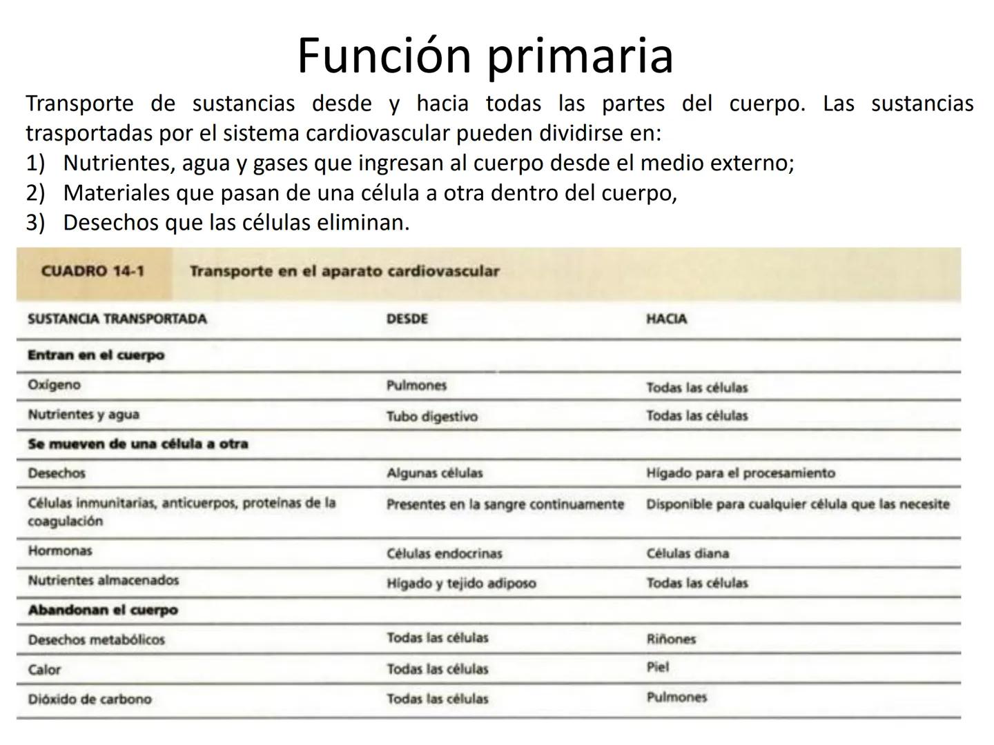 Dra Alejandra Yeves
Antes de comenzar con la clase de sistema respiratorio vamos a
ver una pequeña introducción de sistema cardiovascular..