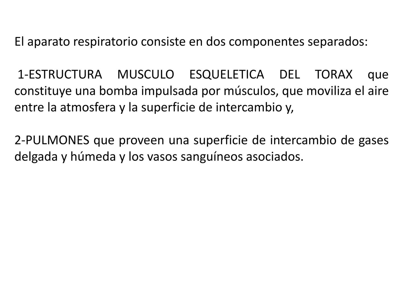 Dra Alejandra Yeves
Antes de comenzar con la clase de sistema respiratorio vamos a
ver una pequeña introducción de sistema cardiovascular..