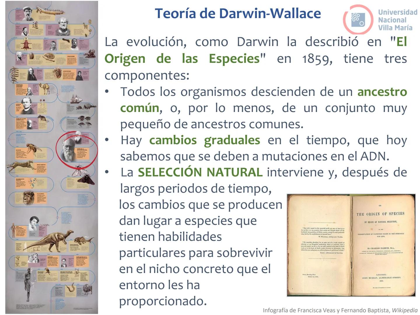 # Curso de ingreso Medicina 2024-2025
# BIOLOGÍA
# Unidad 6: Evolución
27-02-2025
Bioq. María Virginia Lanza
Dra. Lucía Rodríguez
Unive