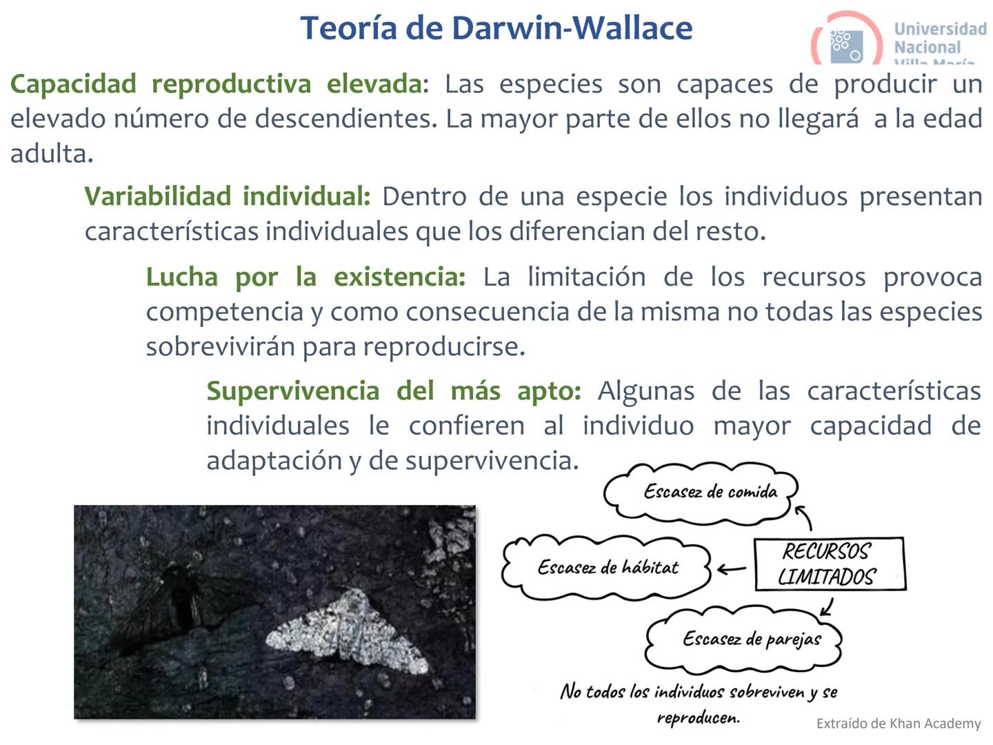 # Curso de ingreso Medicina 2024-2025
# BIOLOGÍA
# Unidad 6: Evolución
27-02-2025
Bioq. María Virginia Lanza
Dra. Lucía Rodríguez
Unive