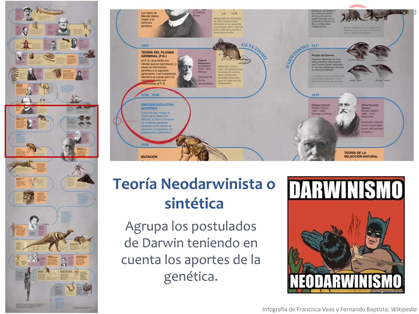 # Curso de ingreso Medicina 2024-2025
# BIOLOGÍA
# Unidad 6: Evolución
27-02-2025
Bioq. María Virginia Lanza
Dra. Lucía Rodríguez
Unive