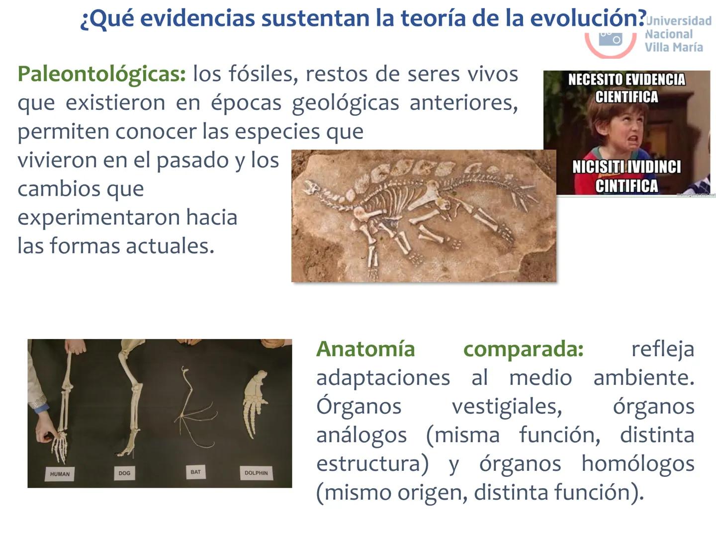 # Curso de ingreso Medicina 2024-2025
# BIOLOGÍA
# Unidad 6: Evolución
27-02-2025
Bioq. María Virginia Lanza
Dra. Lucía Rodríguez
Unive