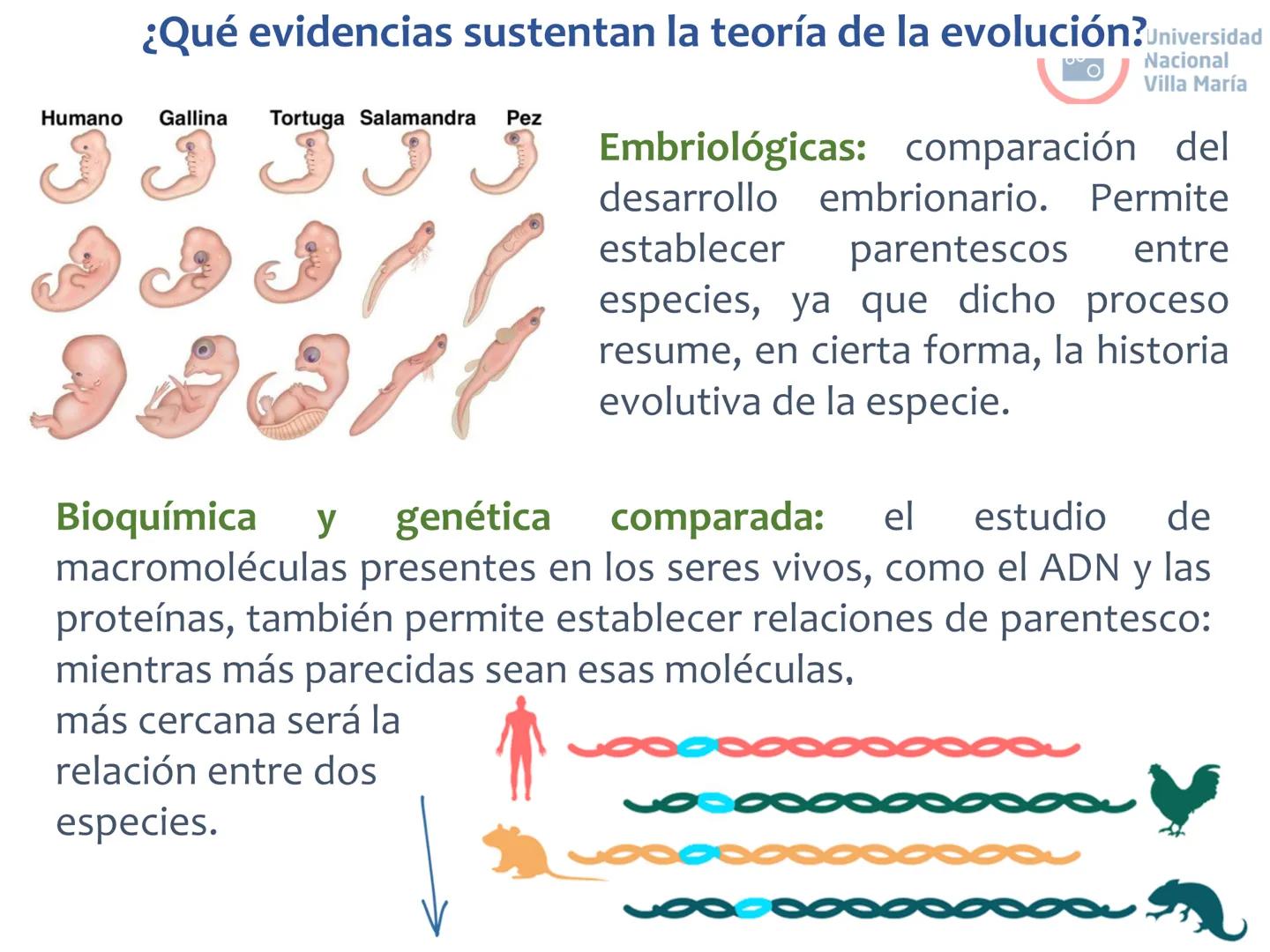 # Curso de ingreso Medicina 2024-2025
# BIOLOGÍA
# Unidad 6: Evolución
27-02-2025
Bioq. María Virginia Lanza
Dra. Lucía Rodríguez
Unive