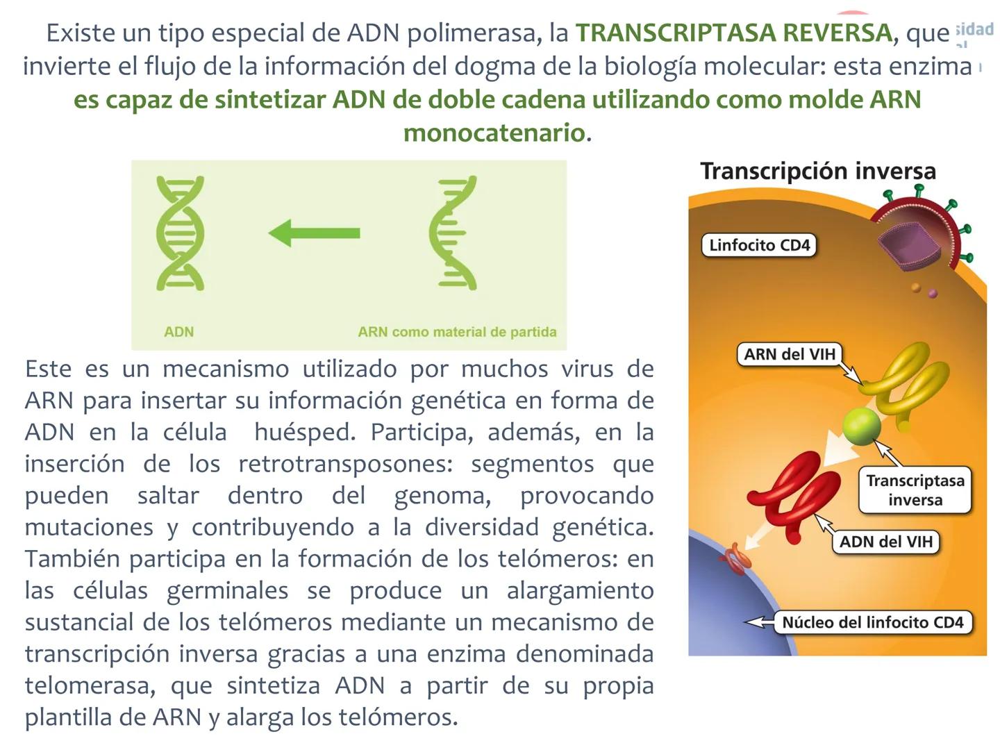 # Curso de ingreso Medicina 2024-2025
# BIOLOGÍA
# Unidad 6: Evolución
27-02-2025
Bioq. María Virginia Lanza
Dra. Lucía Rodríguez
Unive