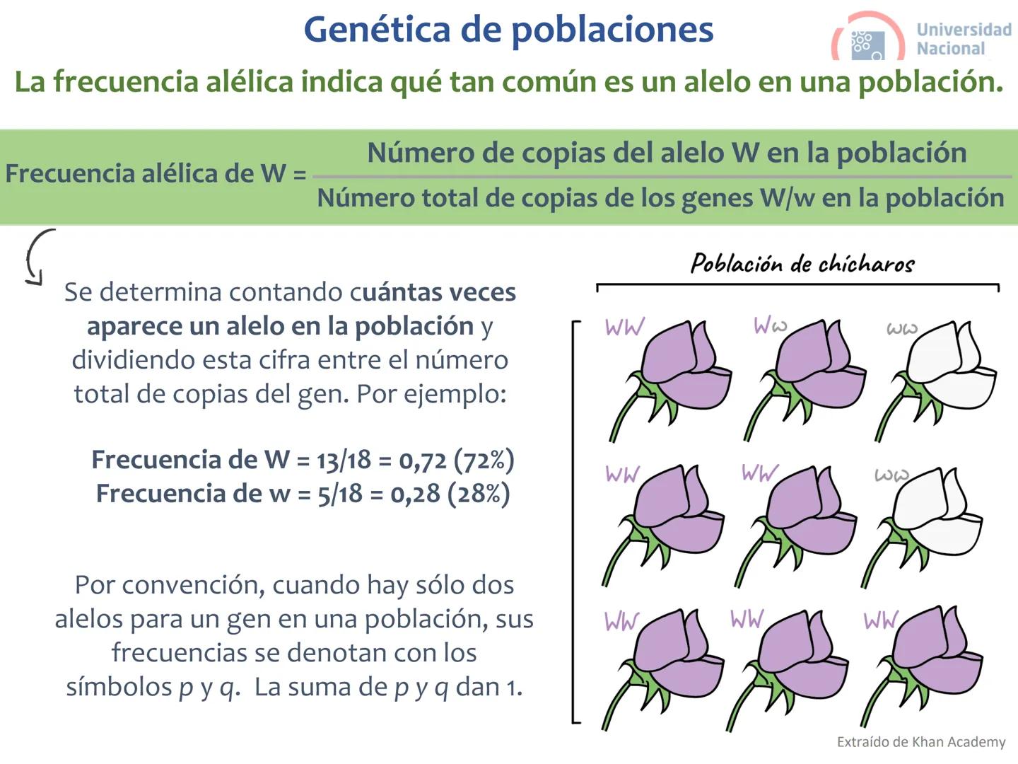 # Curso de ingreso Medicina 2024-2025
# BIOLOGÍA
# Unidad 6: Evolución
27-02-2025
Bioq. María Virginia Lanza
Dra. Lucía Rodríguez
Unive