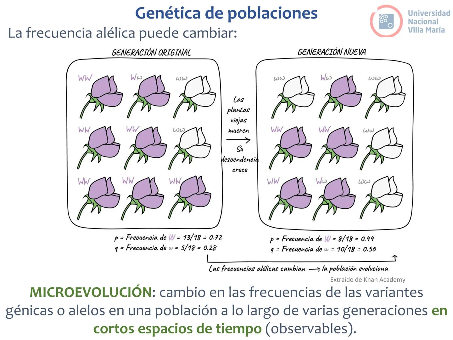 # Curso de ingreso Medicina 2024-2025
# BIOLOGÍA
# Unidad 6: Evolución
27-02-2025
Bioq. María Virginia Lanza
Dra. Lucía Rodríguez
Unive