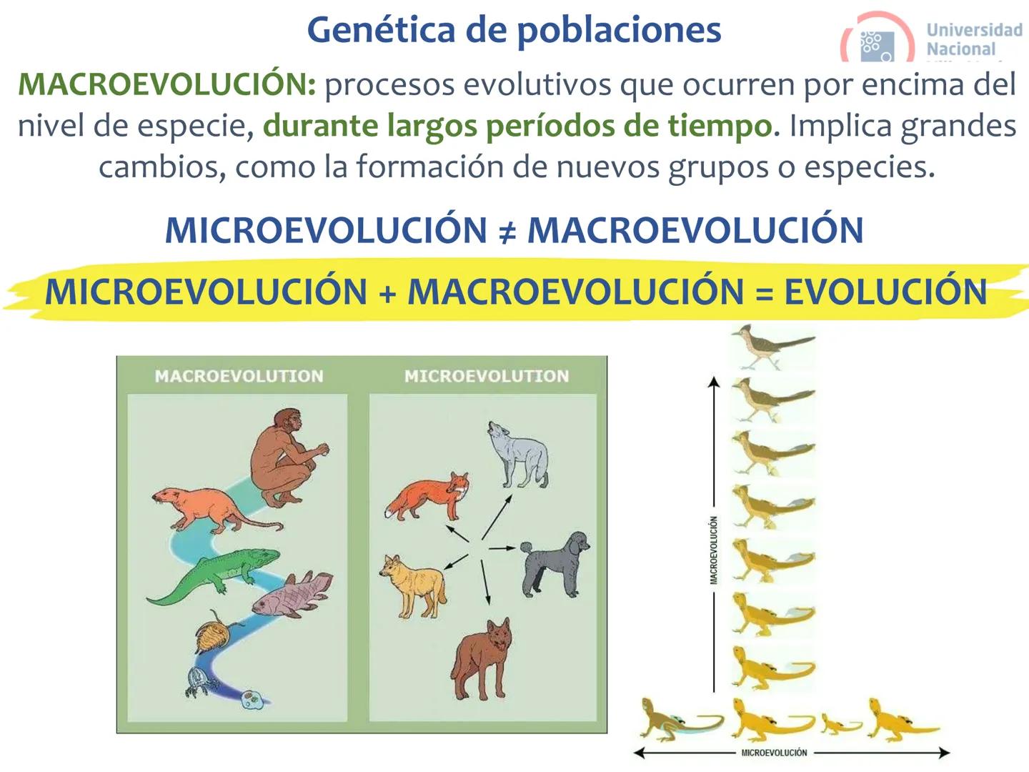 # Curso de ingreso Medicina 2024-2025
# BIOLOGÍA
# Unidad 6: Evolución
27-02-2025
Bioq. María Virginia Lanza
Dra. Lucía Rodríguez
Unive