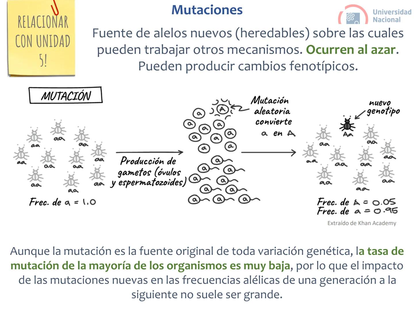 # Curso de ingreso Medicina 2024-2025
# BIOLOGÍA
# Unidad 6: Evolución
27-02-2025
Bioq. María Virginia Lanza
Dra. Lucía Rodríguez
Unive