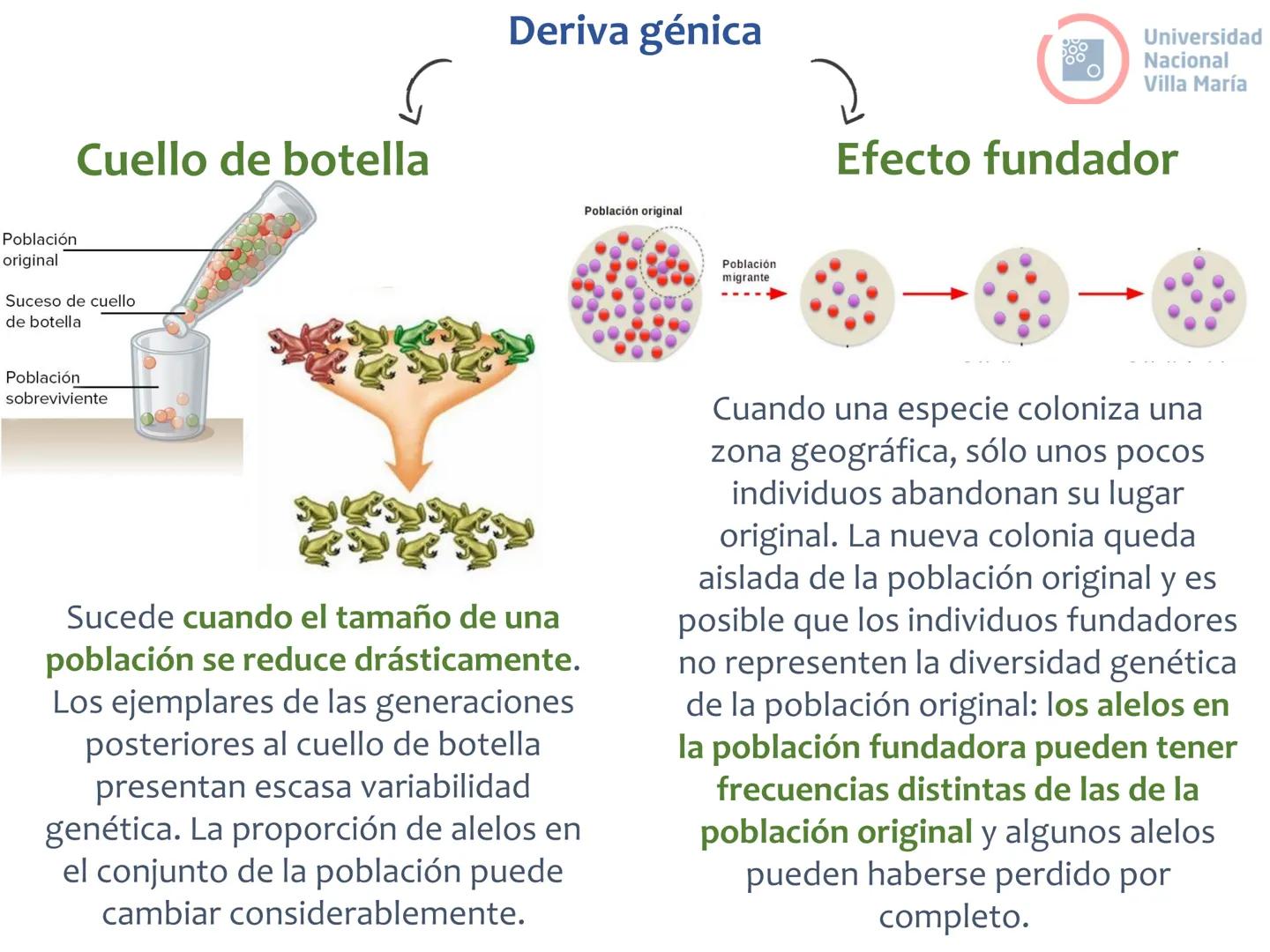 # Curso de ingreso Medicina 2024-2025
# BIOLOGÍA
# Unidad 6: Evolución
27-02-2025
Bioq. María Virginia Lanza
Dra. Lucía Rodríguez
Unive