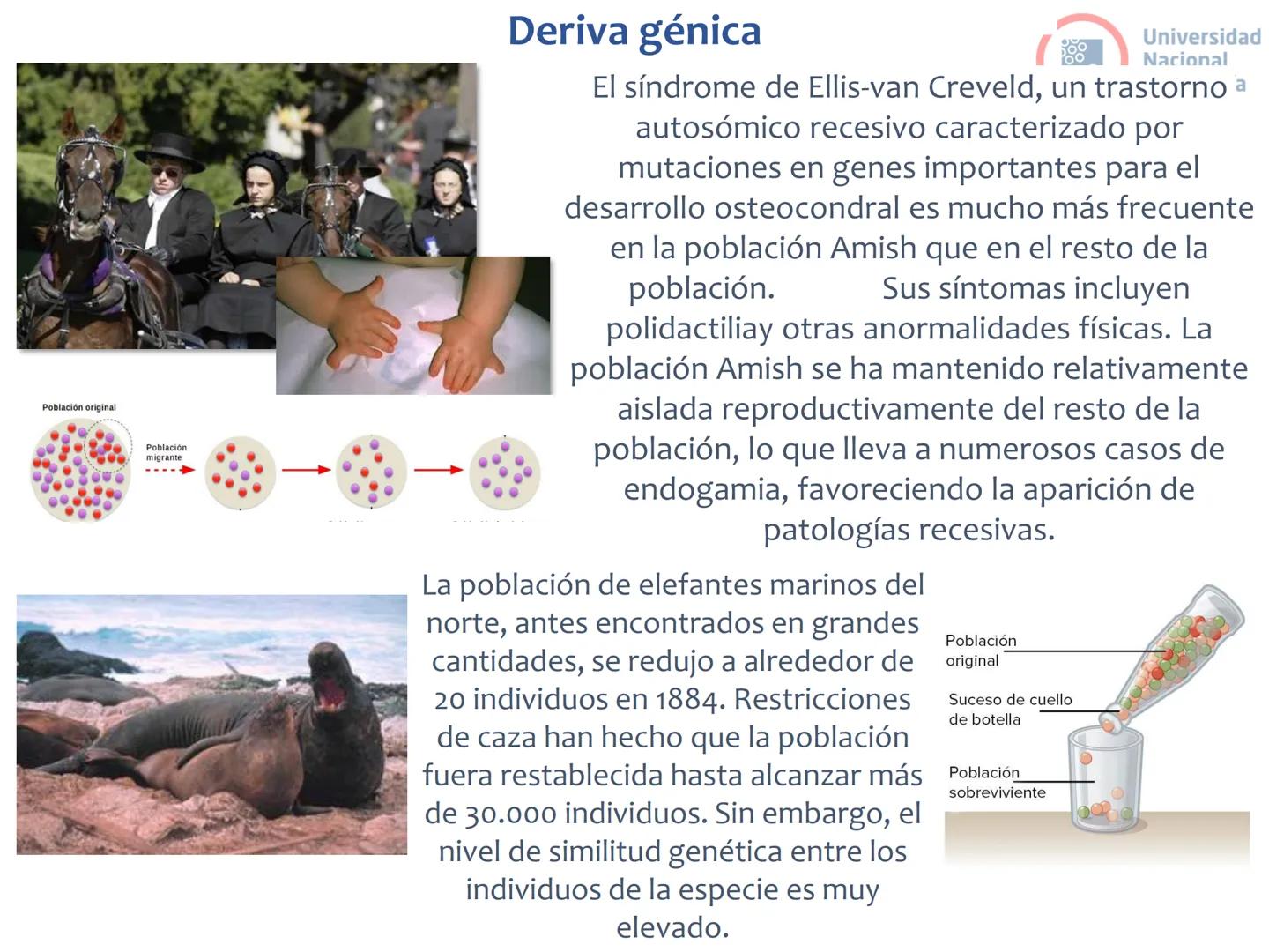 # Curso de ingreso Medicina 2024-2025
# BIOLOGÍA
# Unidad 6: Evolución
27-02-2025
Bioq. María Virginia Lanza
Dra. Lucía Rodríguez
Unive