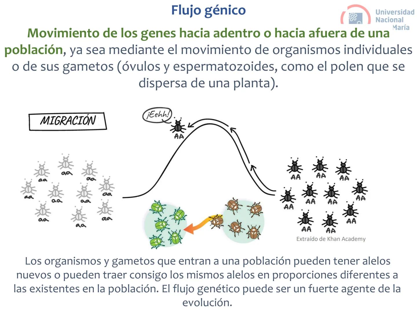 # Curso de ingreso Medicina 2024-2025
# BIOLOGÍA
# Unidad 6: Evolución
27-02-2025
Bioq. María Virginia Lanza
Dra. Lucía Rodríguez
Unive