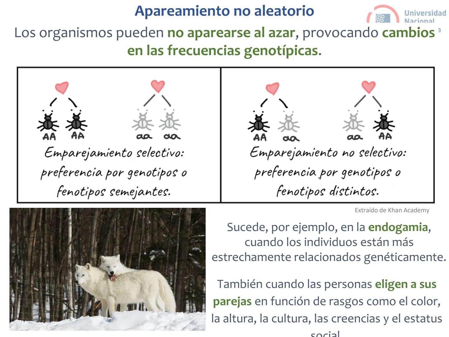 # Curso de ingreso Medicina 2024-2025
# BIOLOGÍA
# Unidad 6: Evolución
27-02-2025
Bioq. María Virginia Lanza
Dra. Lucía Rodríguez
Unive