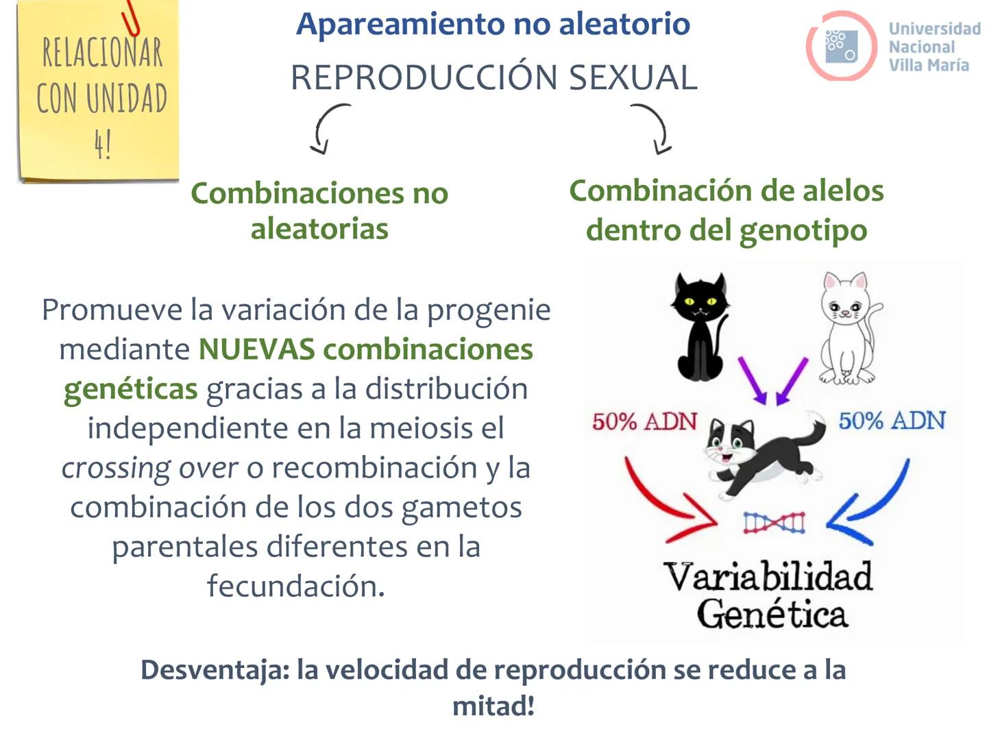 # Curso de ingreso Medicina 2024-2025
# BIOLOGÍA
# Unidad 6: Evolución
27-02-2025
Bioq. María Virginia Lanza
Dra. Lucía Rodríguez
Unive