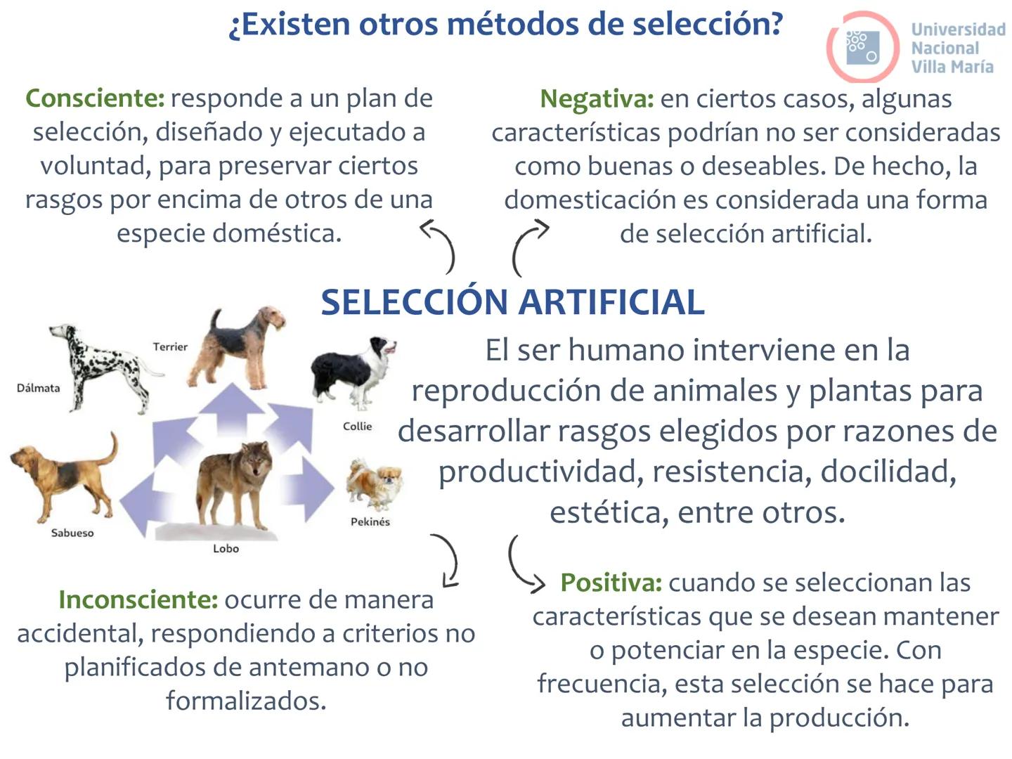 # Curso de ingreso Medicina 2024-2025
# BIOLOGÍA
# Unidad 6: Evolución
27-02-2025
Bioq. María Virginia Lanza
Dra. Lucía Rodríguez
Unive