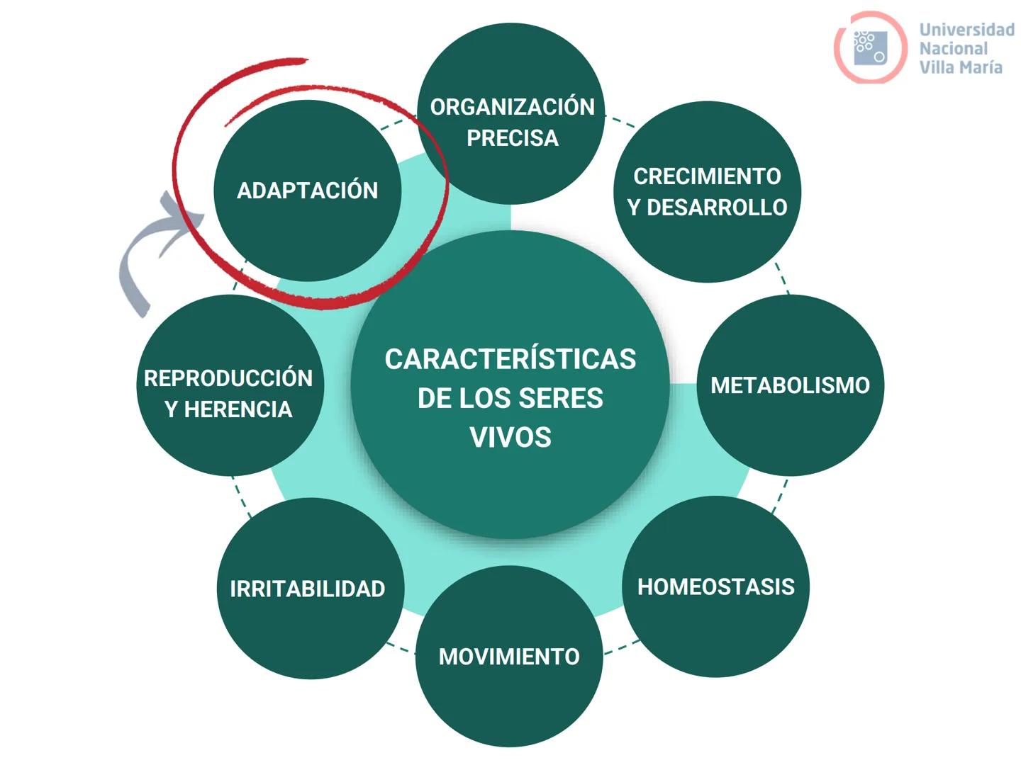 # Curso de ingreso Medicina 2024-2025
# BIOLOGÍA
# Unidad 6: Evolución
27-02-2025
Bioq. María Virginia Lanza
Dra. Lucía Rodríguez
Unive
