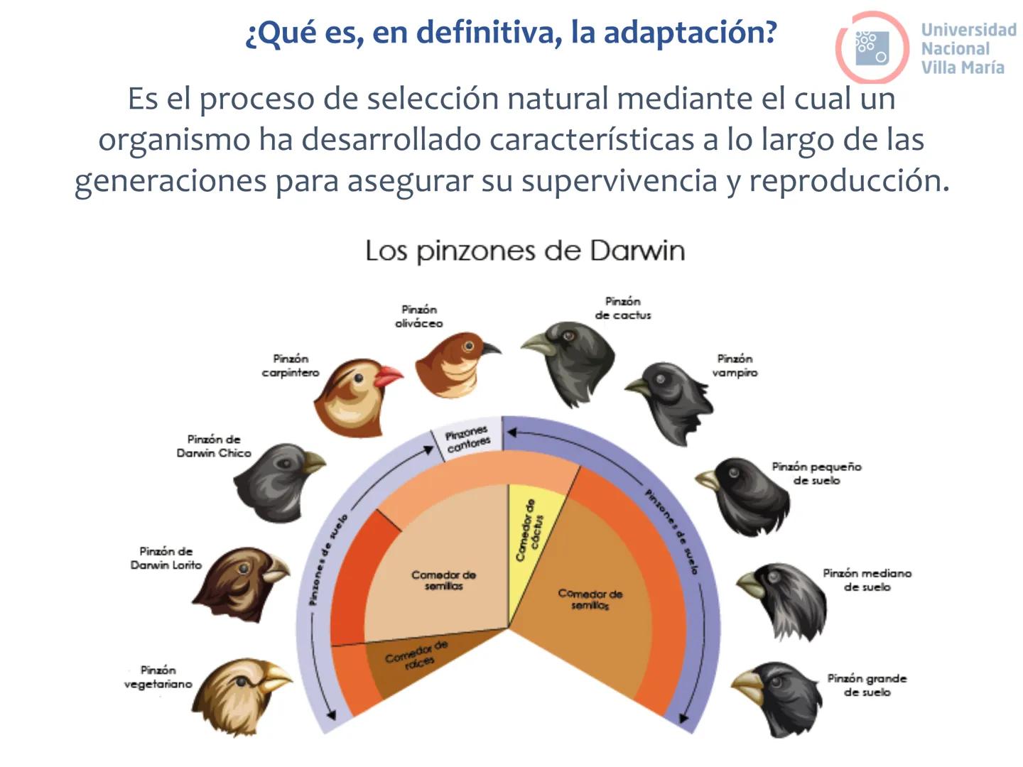 # Curso de ingreso Medicina 2024-2025
# BIOLOGÍA
# Unidad 6: Evolución
27-02-2025
Bioq. María Virginia Lanza
Dra. Lucía Rodríguez
Unive