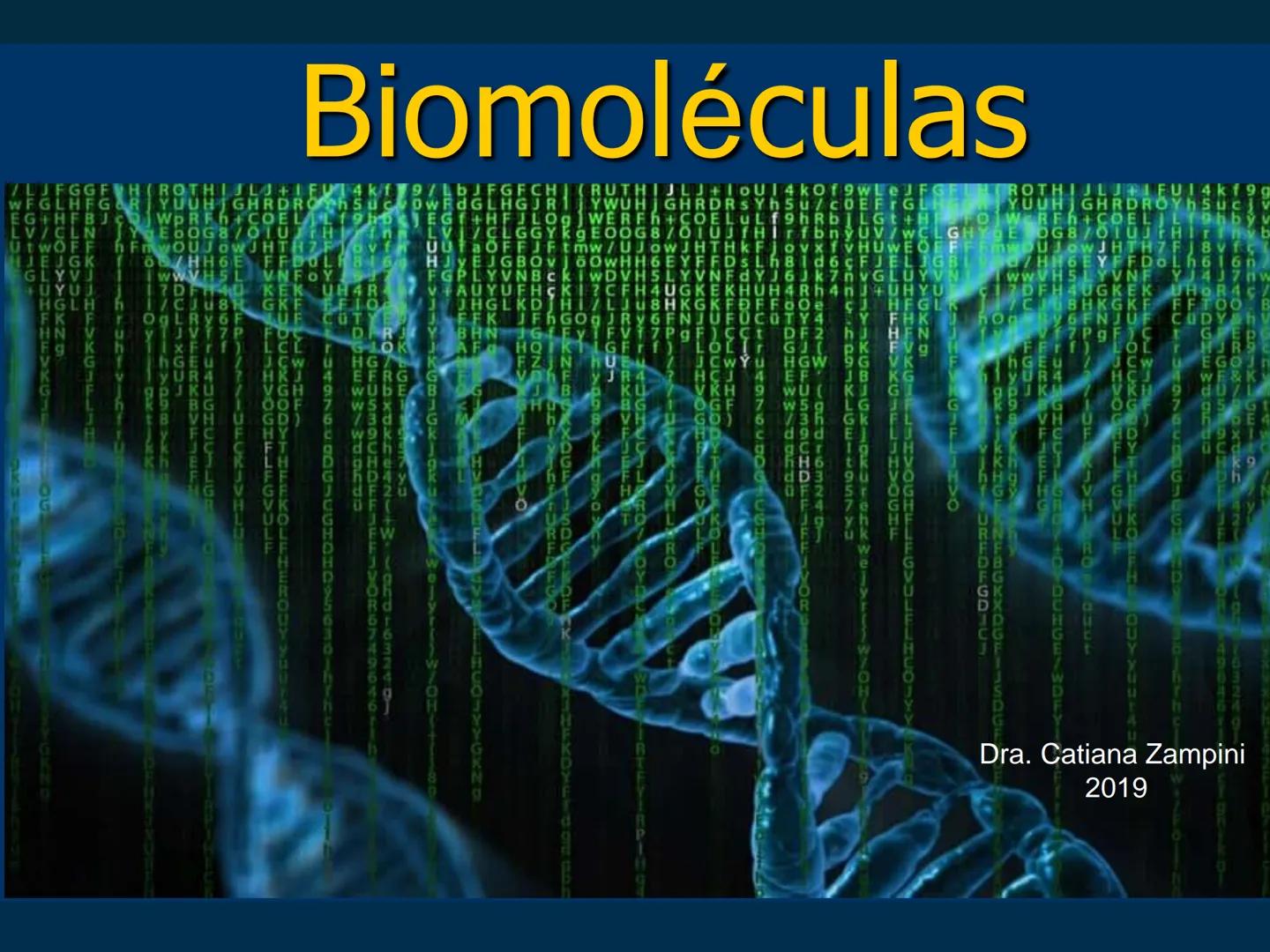 # Biomoléculas
Dra. Catiana Zampini
2019 # ¿Que compartimos todos los seres vivos? # Bioelementos
Elementos químicos que constituyen los se