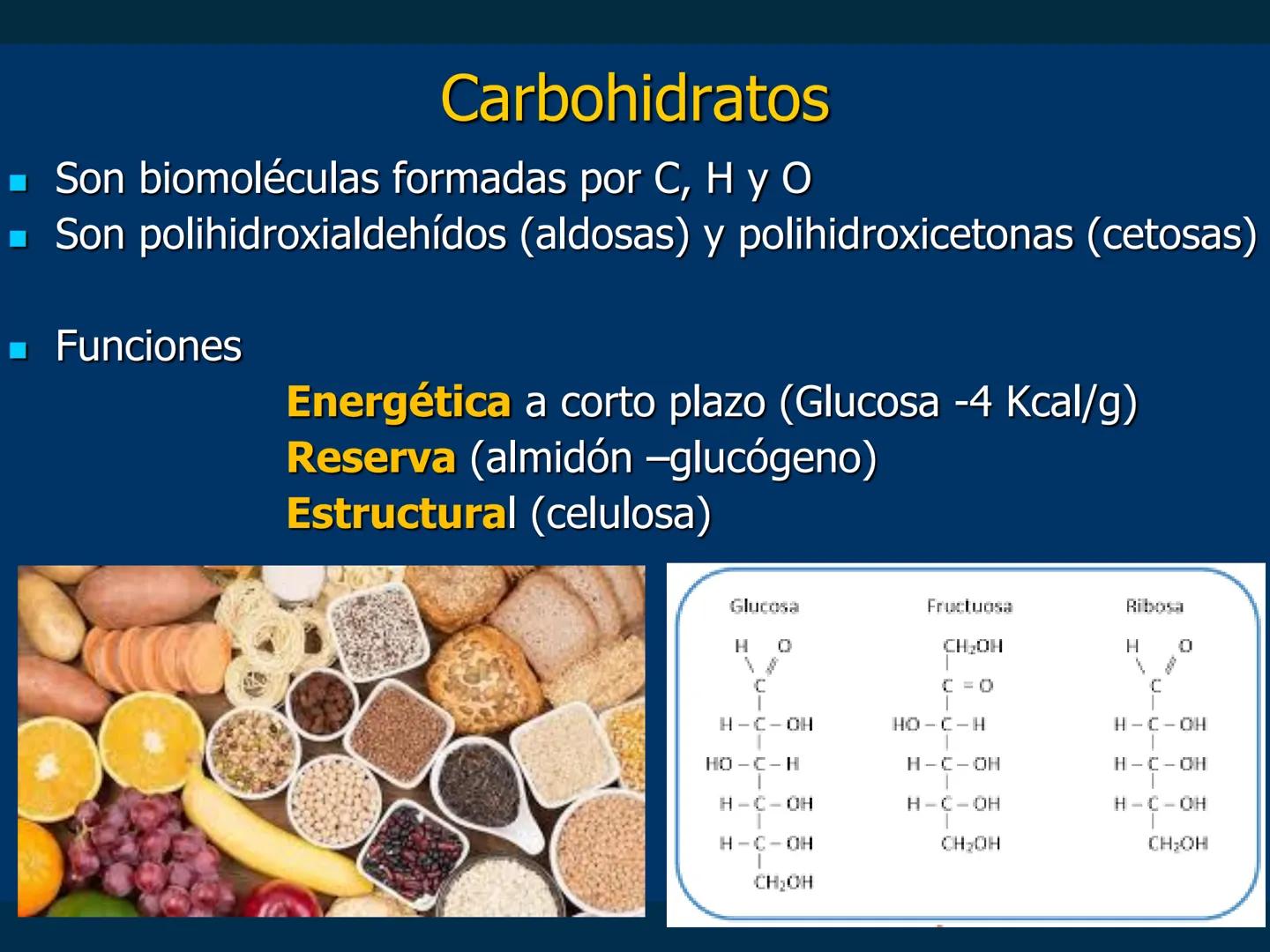 # Biomoléculas
Dra. Catiana Zampini
2019 # ¿Que compartimos todos los seres vivos? # Bioelementos
Elementos químicos que constituyen los se