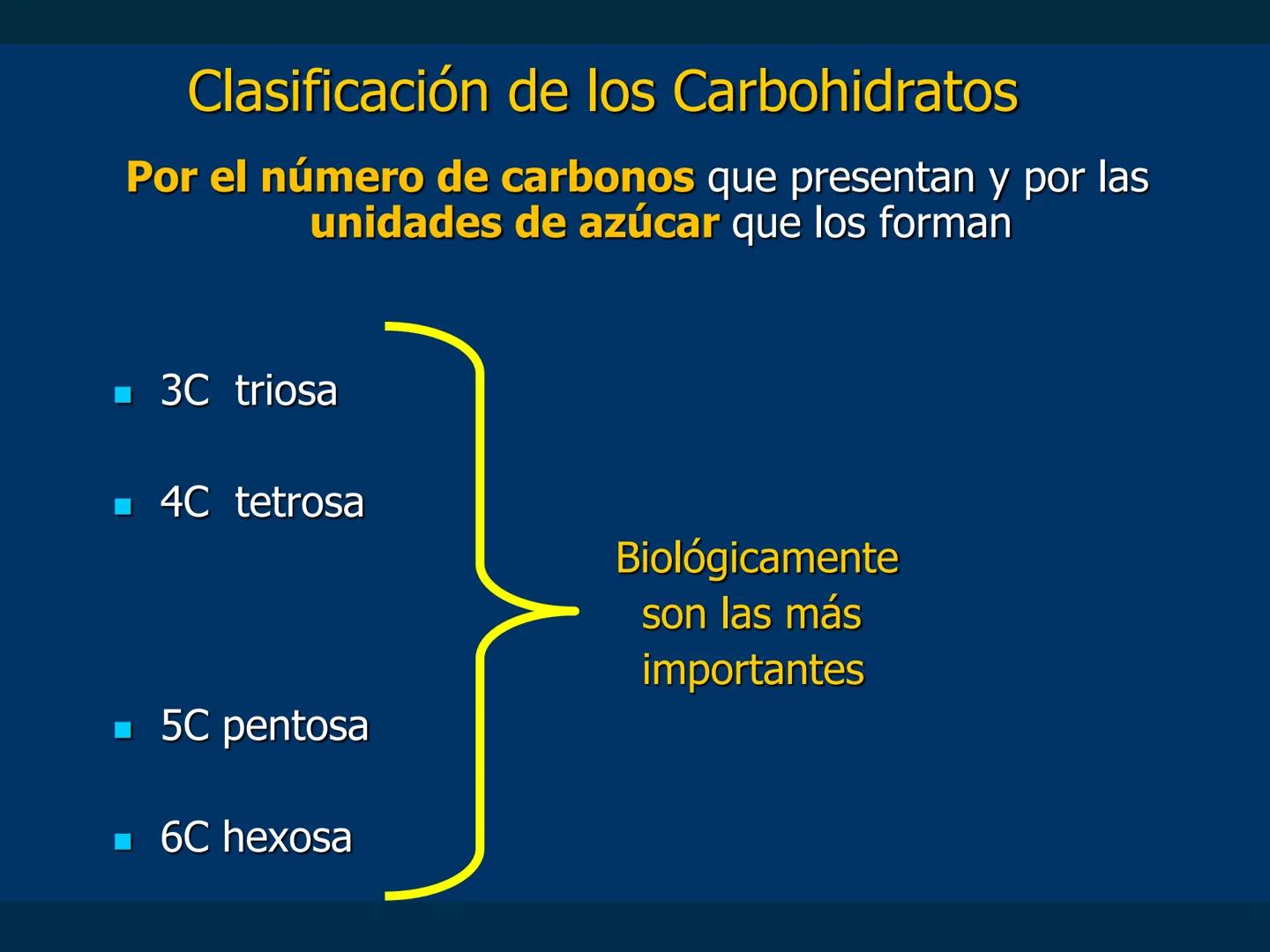 # Biomoléculas
Dra. Catiana Zampini
2019 # ¿Que compartimos todos los seres vivos? # Bioelementos
Elementos químicos que constituyen los se