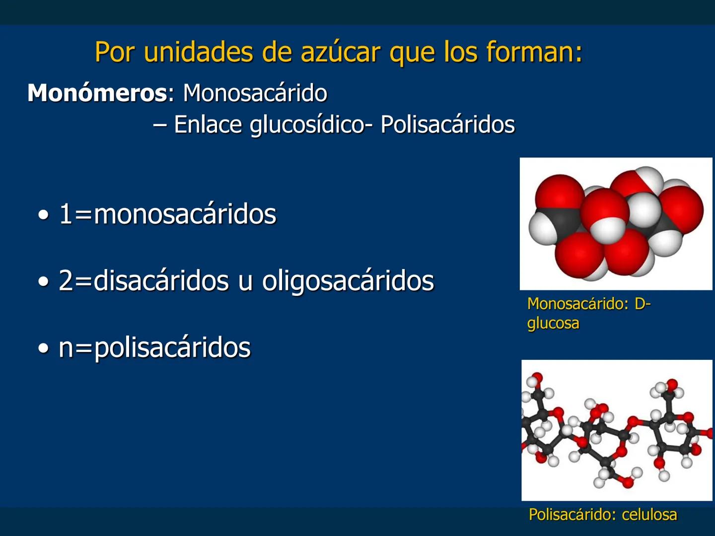 # Biomoléculas
Dra. Catiana Zampini
2019 # ¿Que compartimos todos los seres vivos? # Bioelementos
Elementos químicos que constituyen los se