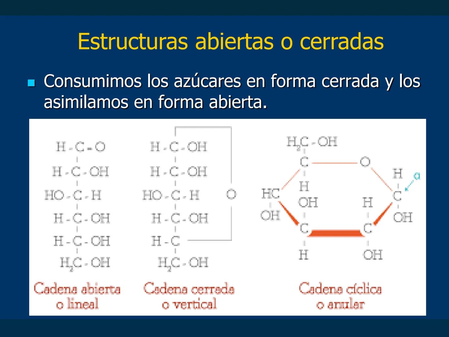 # Biomoléculas
Dra. Catiana Zampini
2019 # ¿Que compartimos todos los seres vivos? # Bioelementos
Elementos químicos que constituyen los se