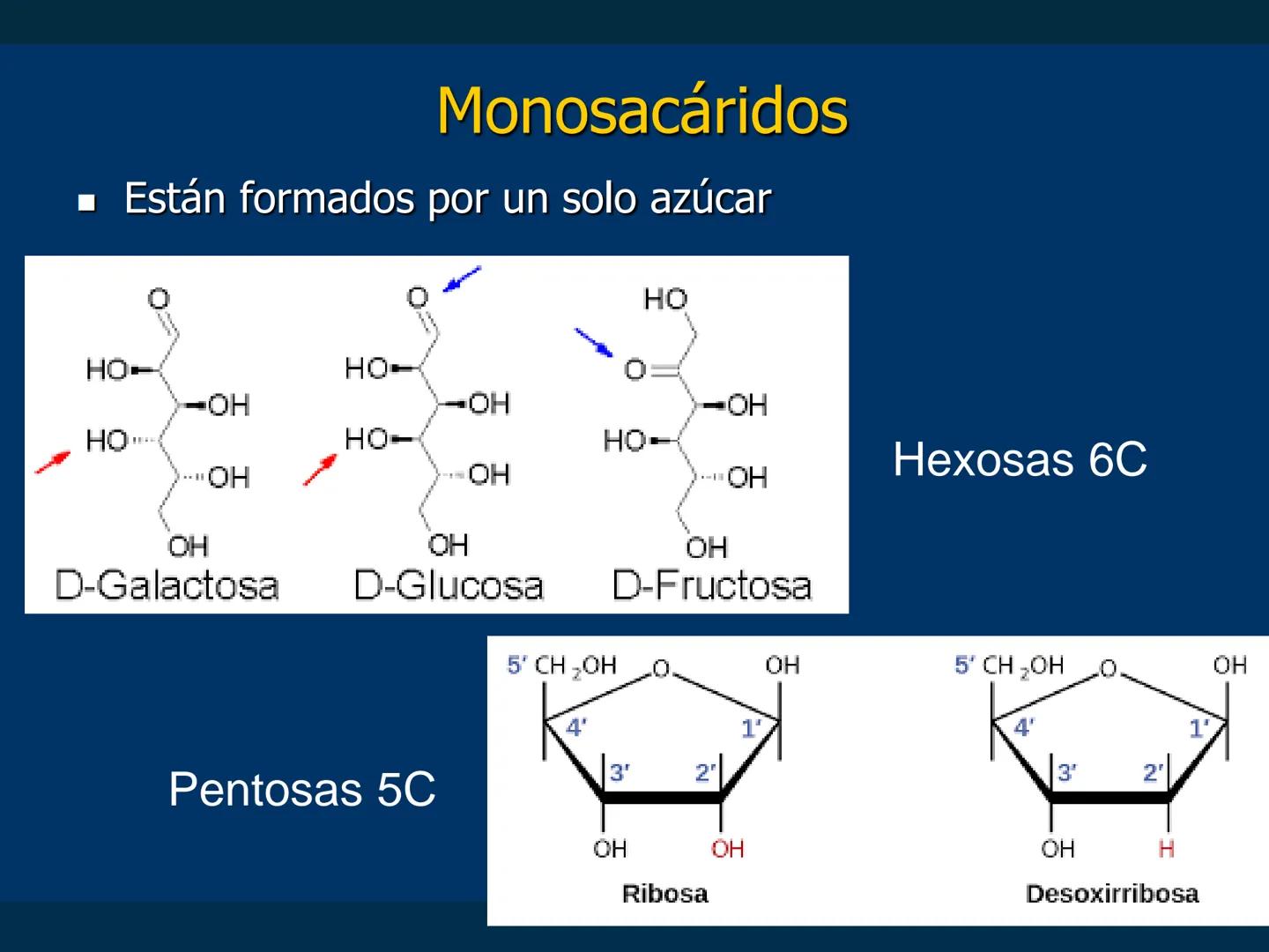# Biomoléculas
Dra. Catiana Zampini
2019 # ¿Que compartimos todos los seres vivos? # Bioelementos
Elementos químicos que constituyen los se