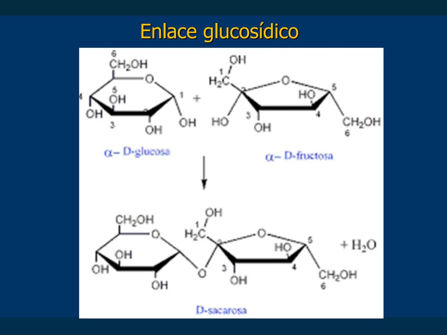 # Biomoléculas
Dra. Catiana Zampini
2019 # ¿Que compartimos todos los seres vivos? # Bioelementos
Elementos químicos que constituyen los se