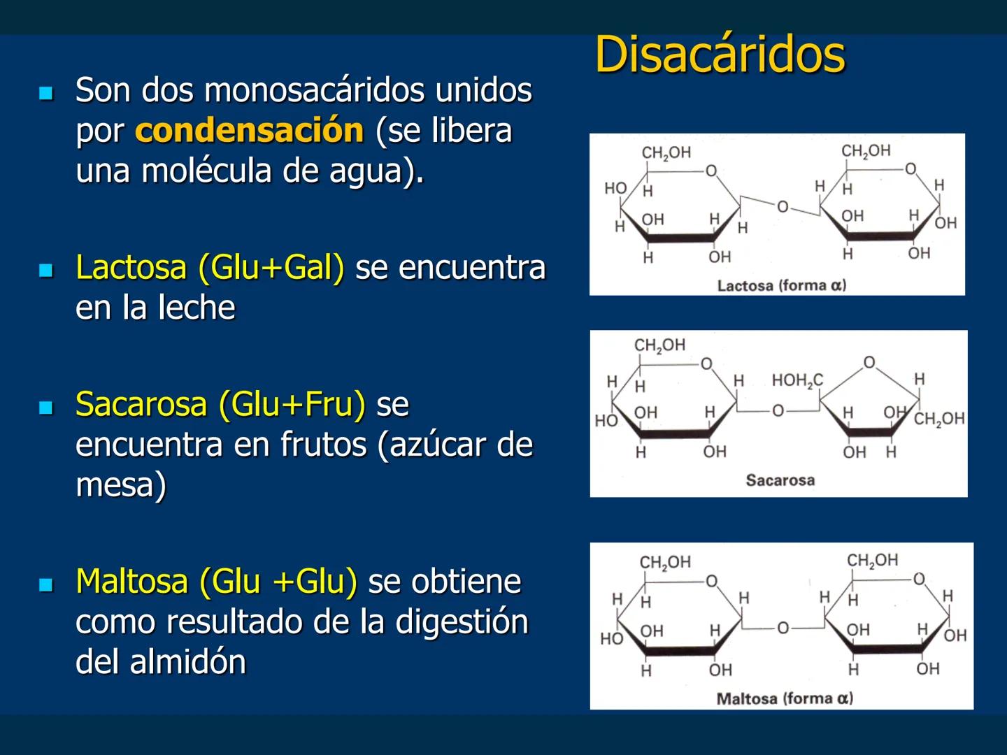 # Biomoléculas
Dra. Catiana Zampini
2019 # ¿Que compartimos todos los seres vivos? # Bioelementos
Elementos químicos que constituyen los se