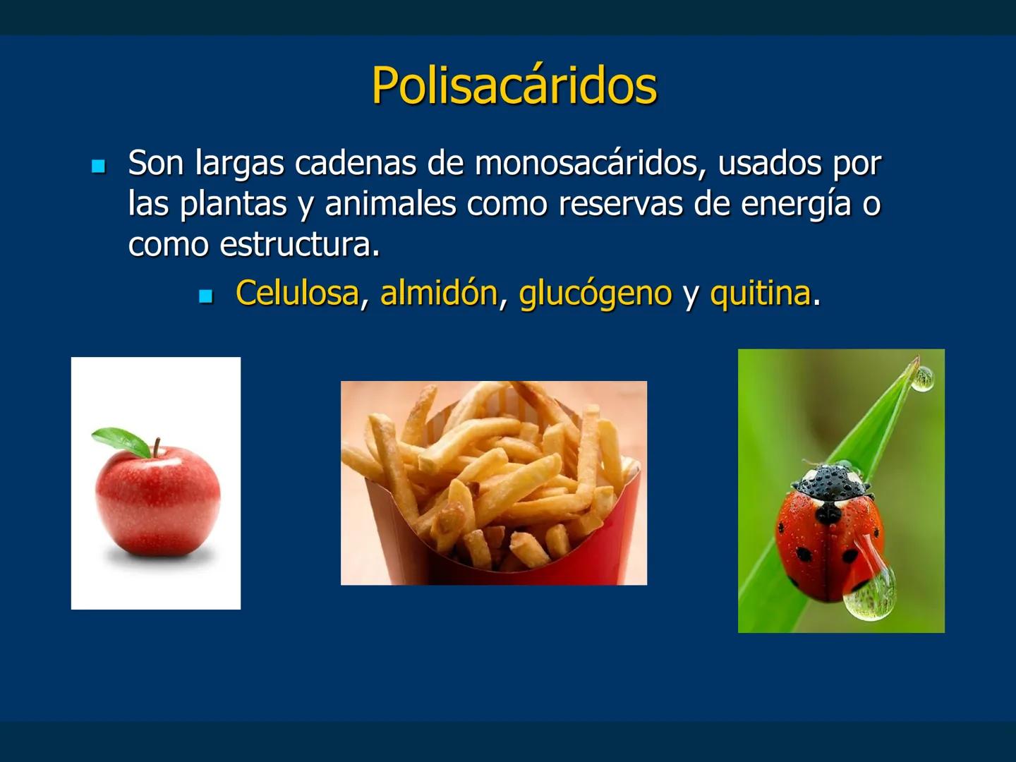 # Biomoléculas
Dra. Catiana Zampini
2019 # ¿Que compartimos todos los seres vivos? # Bioelementos
Elementos químicos que constituyen los se