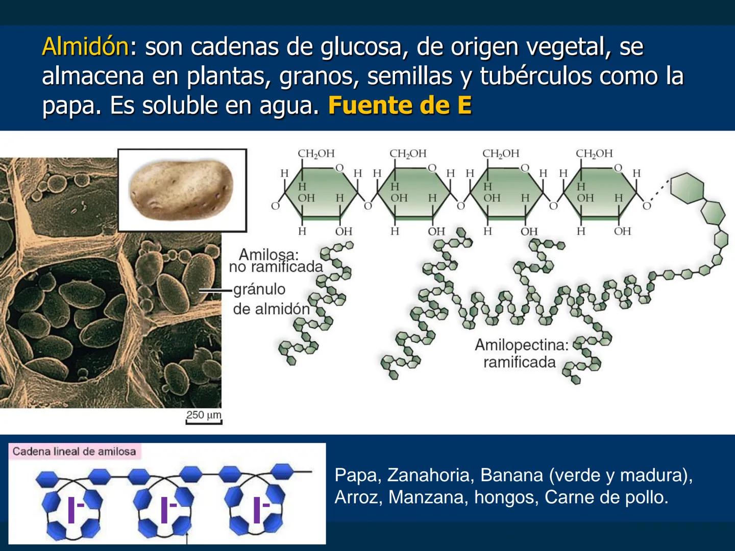 # Biomoléculas
Dra. Catiana Zampini
2019 # ¿Que compartimos todos los seres vivos? # Bioelementos
Elementos químicos que constituyen los se