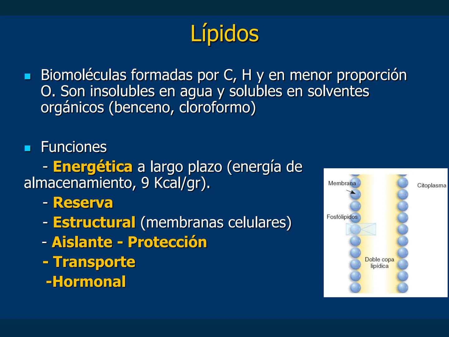 # Biomoléculas
Dra. Catiana Zampini
2019 # ¿Que compartimos todos los seres vivos? # Bioelementos
Elementos químicos que constituyen los se