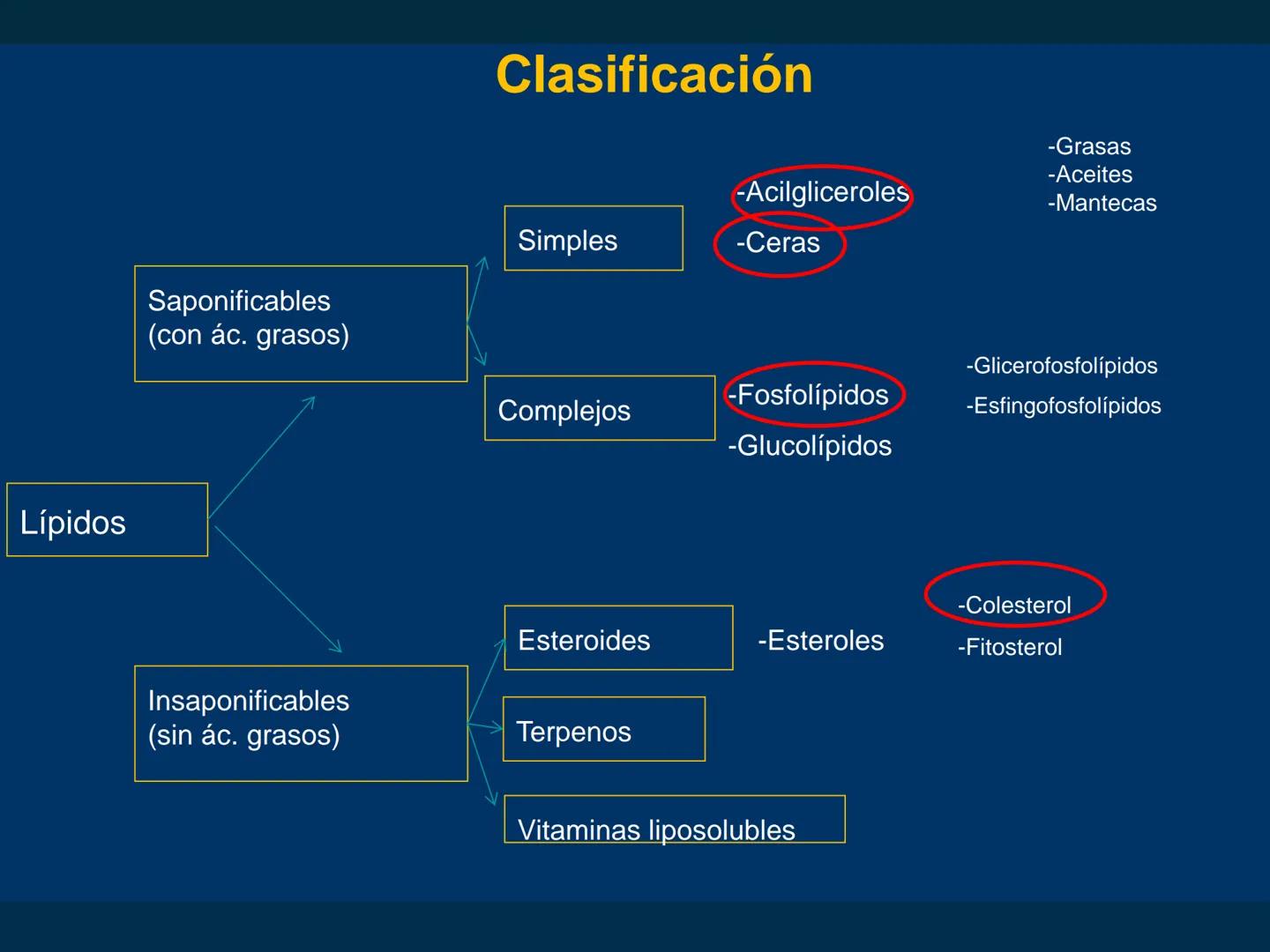 # Biomoléculas
Dra. Catiana Zampini
2019 # ¿Que compartimos todos los seres vivos? # Bioelementos
Elementos químicos que constituyen los se