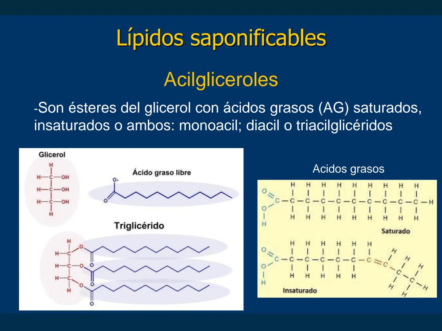 # Biomoléculas
Dra. Catiana Zampini
2019 # ¿Que compartimos todos los seres vivos? # Bioelementos
Elementos químicos que constituyen los se