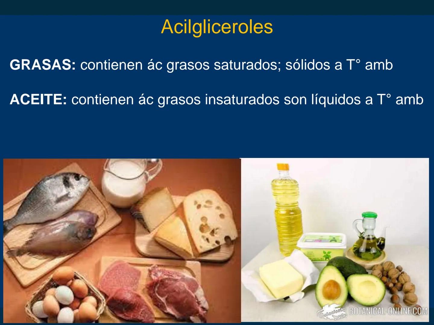 # Biomoléculas
Dra. Catiana Zampini
2019 # ¿Que compartimos todos los seres vivos? # Bioelementos
Elementos químicos que constituyen los se