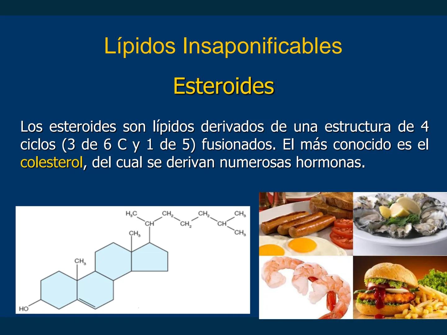 # Biomoléculas
Dra. Catiana Zampini
2019 # ¿Que compartimos todos los seres vivos? # Bioelementos
Elementos químicos que constituyen los se