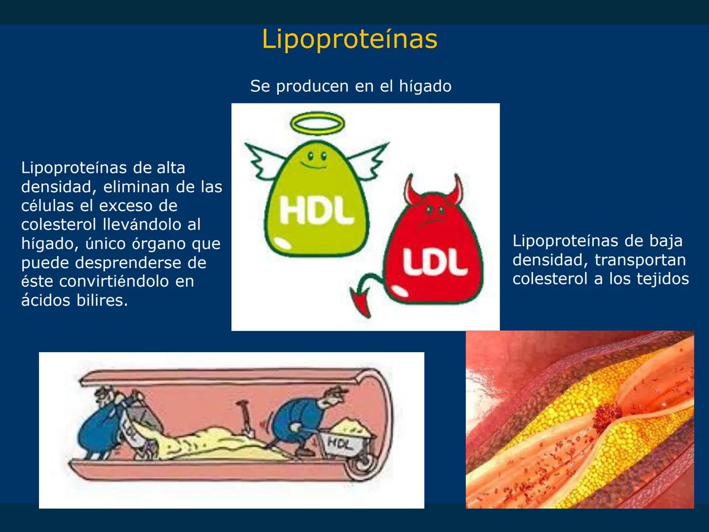 # Biomoléculas
Dra. Catiana Zampini
2019 # ¿Que compartimos todos los seres vivos? # Bioelementos
Elementos químicos que constituyen los se