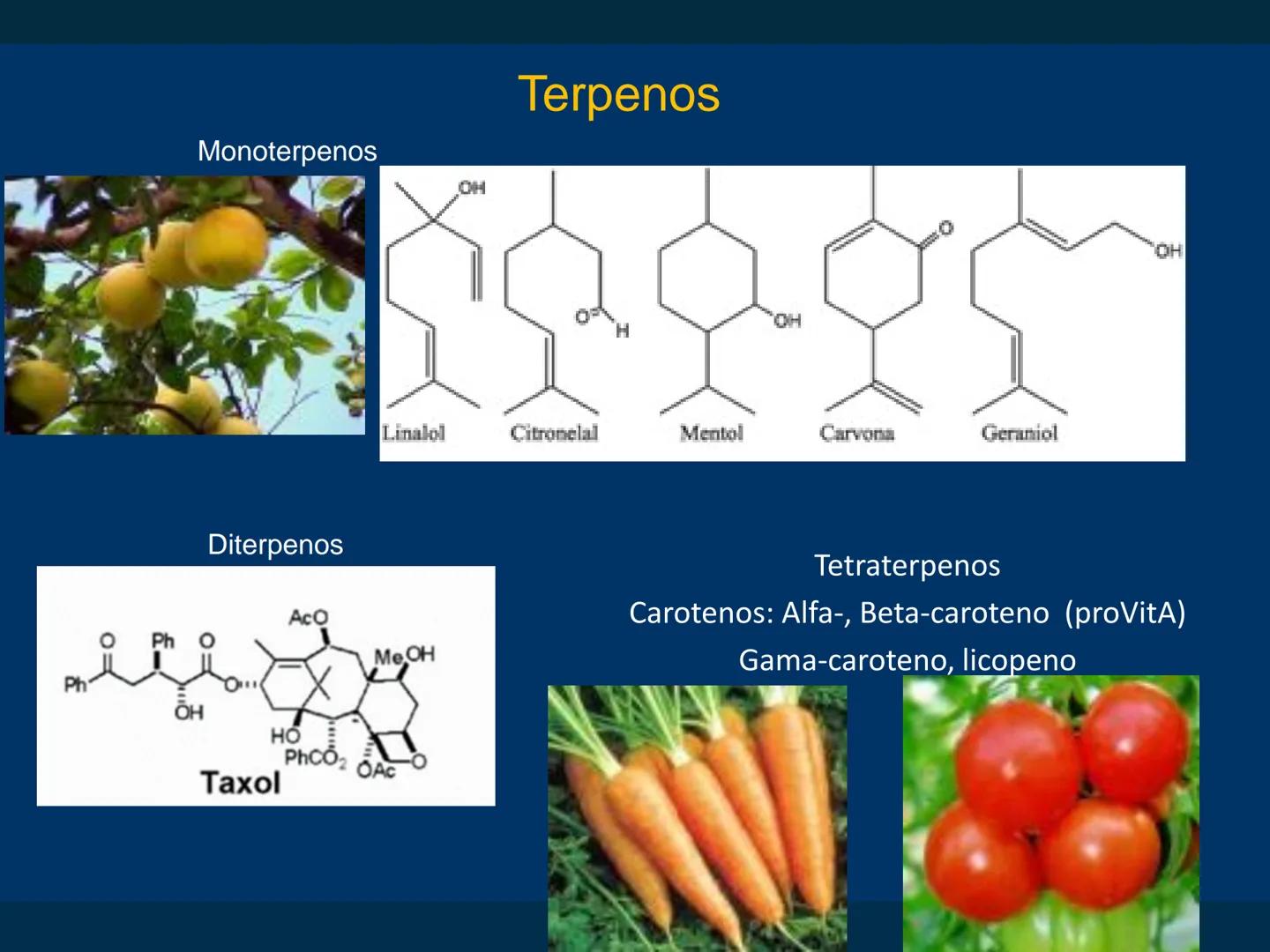 # Biomoléculas
Dra. Catiana Zampini
2019 # ¿Que compartimos todos los seres vivos? # Bioelementos
Elementos químicos que constituyen los se