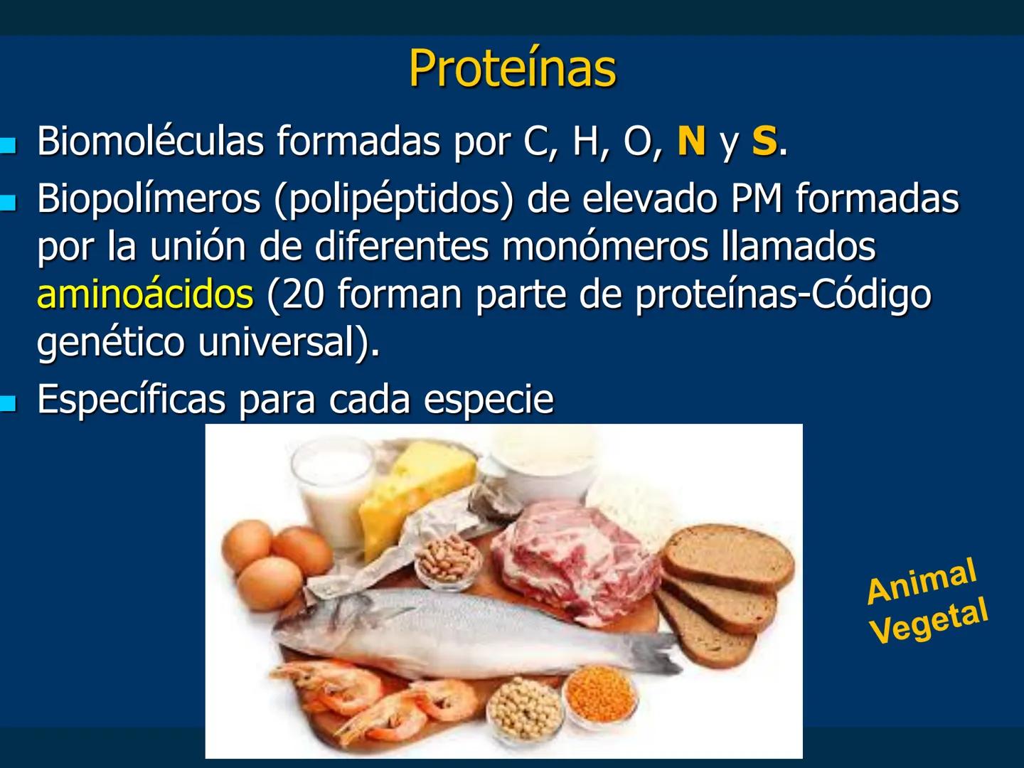 # Biomoléculas
Dra. Catiana Zampini
2019 # ¿Que compartimos todos los seres vivos? # Bioelementos
Elementos químicos que constituyen los se