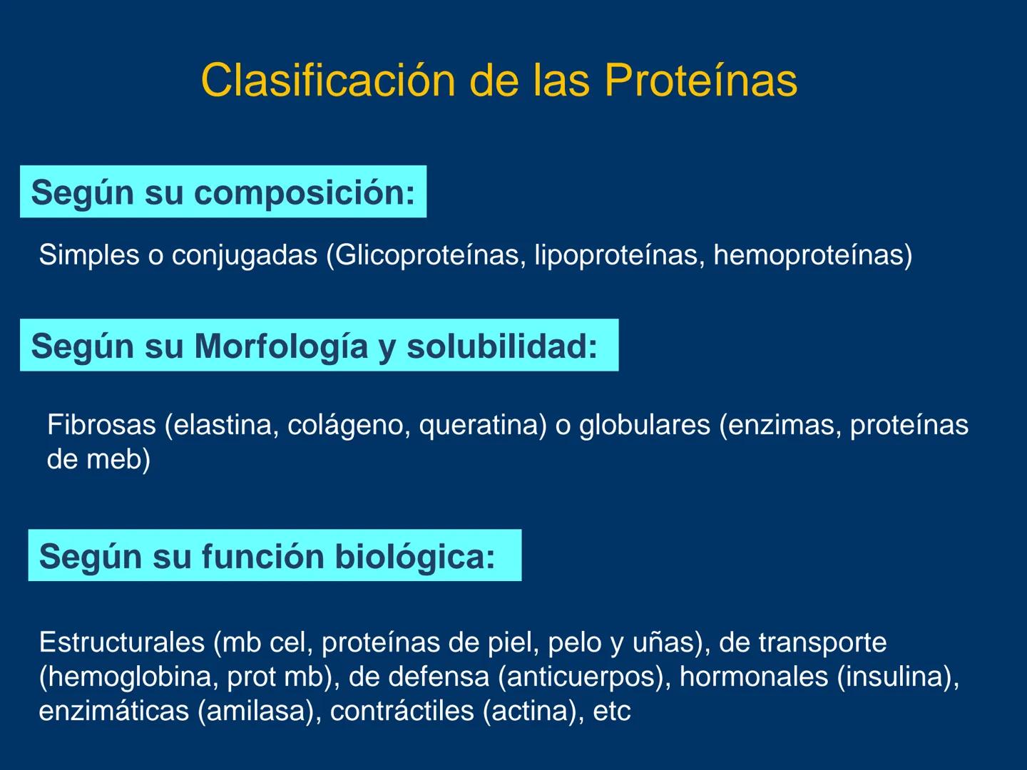 # Biomoléculas
Dra. Catiana Zampini
2019 # ¿Que compartimos todos los seres vivos? # Bioelementos
Elementos químicos que constituyen los se