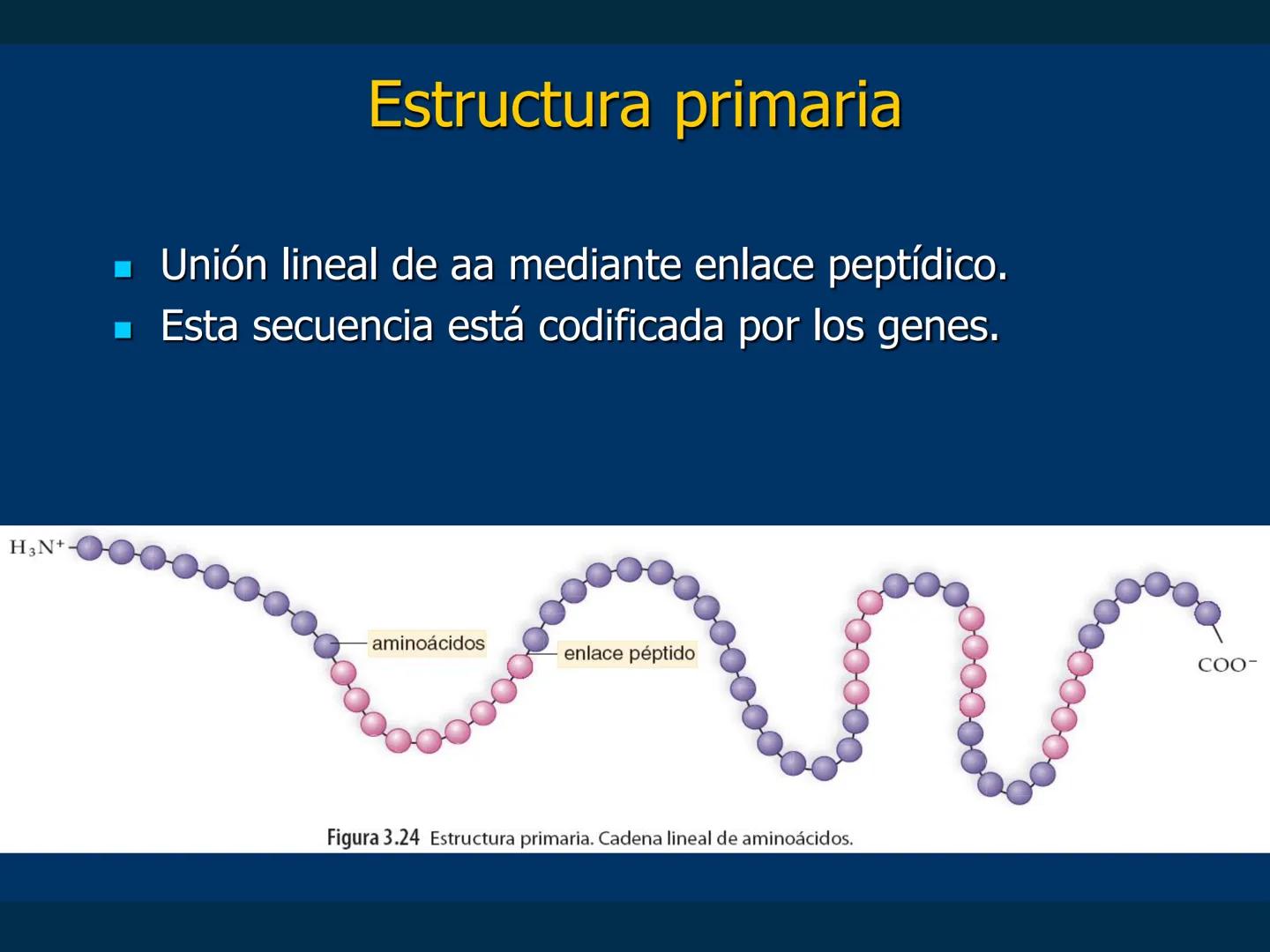 # Biomoléculas
Dra. Catiana Zampini
2019 # ¿Que compartimos todos los seres vivos? # Bioelementos
Elementos químicos que constituyen los se