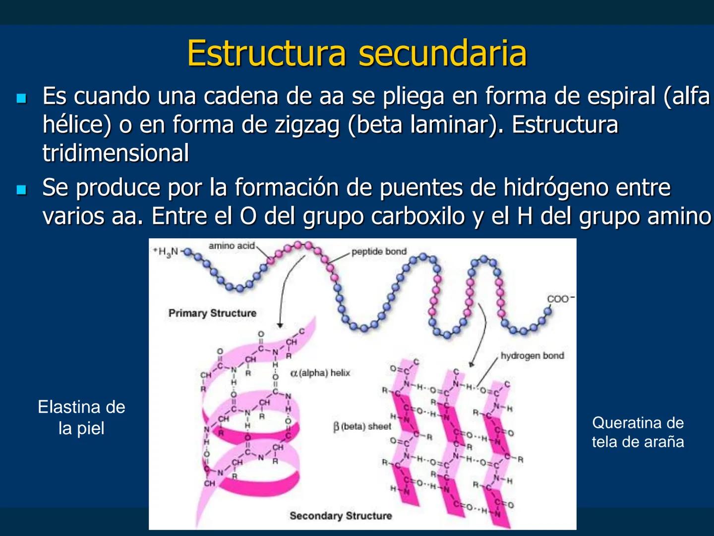 # Biomoléculas
Dra. Catiana Zampini
2019 # ¿Que compartimos todos los seres vivos? # Bioelementos
Elementos químicos que constituyen los se
