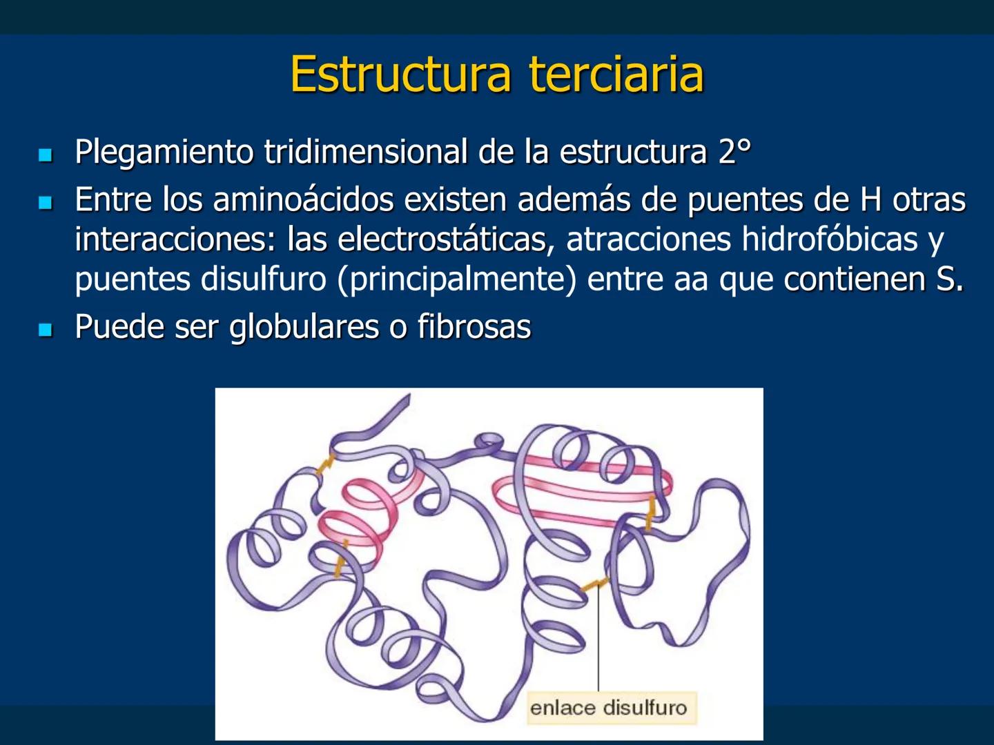 # Biomoléculas
Dra. Catiana Zampini
2019 # ¿Que compartimos todos los seres vivos? # Bioelementos
Elementos químicos que constituyen los se