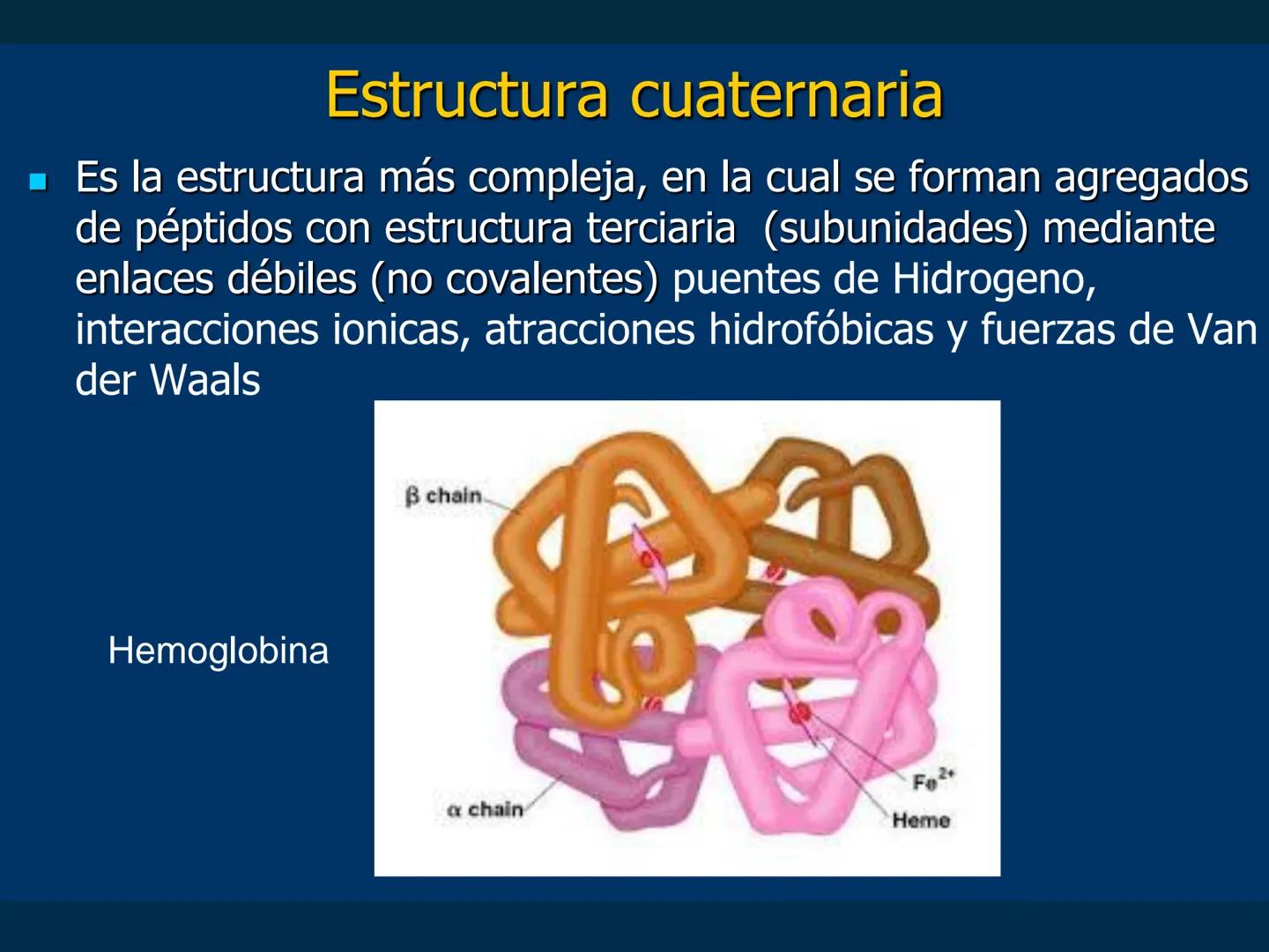 # Biomoléculas
Dra. Catiana Zampini
2019 # ¿Que compartimos todos los seres vivos? # Bioelementos
Elementos químicos que constituyen los se