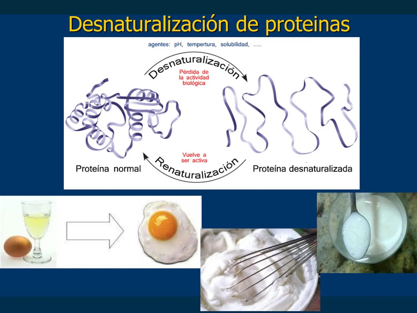 # Biomoléculas
Dra. Catiana Zampini
2019 # ¿Que compartimos todos los seres vivos? # Bioelementos
Elementos químicos que constituyen los se