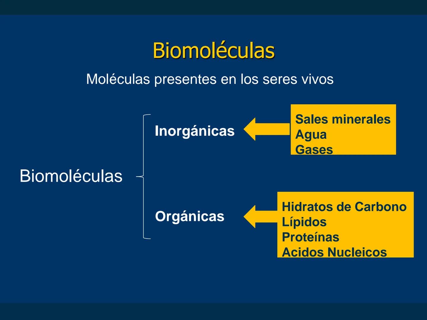 # Biomoléculas
Dra. Catiana Zampini
2019 # ¿Que compartimos todos los seres vivos? # Bioelementos
Elementos químicos que constituyen los se