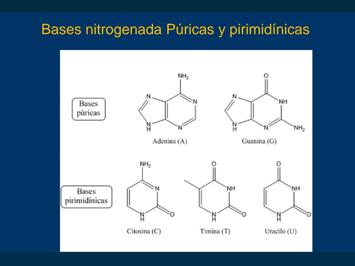 # Biomoléculas
Dra. Catiana Zampini
2019 # ¿Que compartimos todos los seres vivos? # Bioelementos
Elementos químicos que constituyen los se