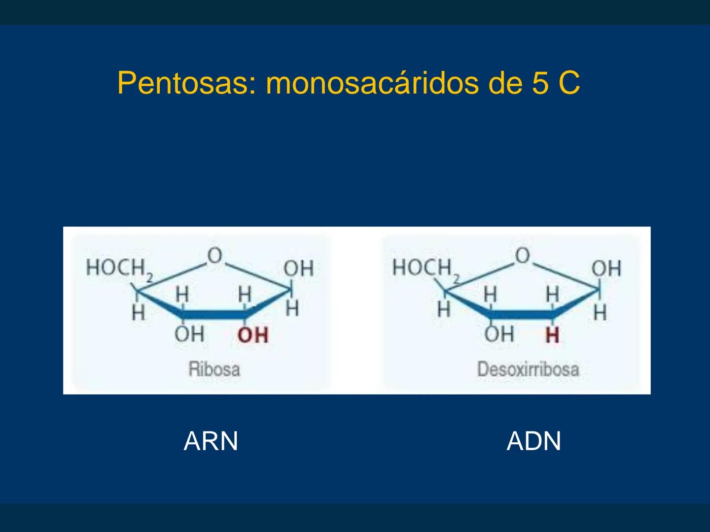 # Biomoléculas
Dra. Catiana Zampini
2019 # ¿Que compartimos todos los seres vivos? # Bioelementos
Elementos químicos que constituyen los se