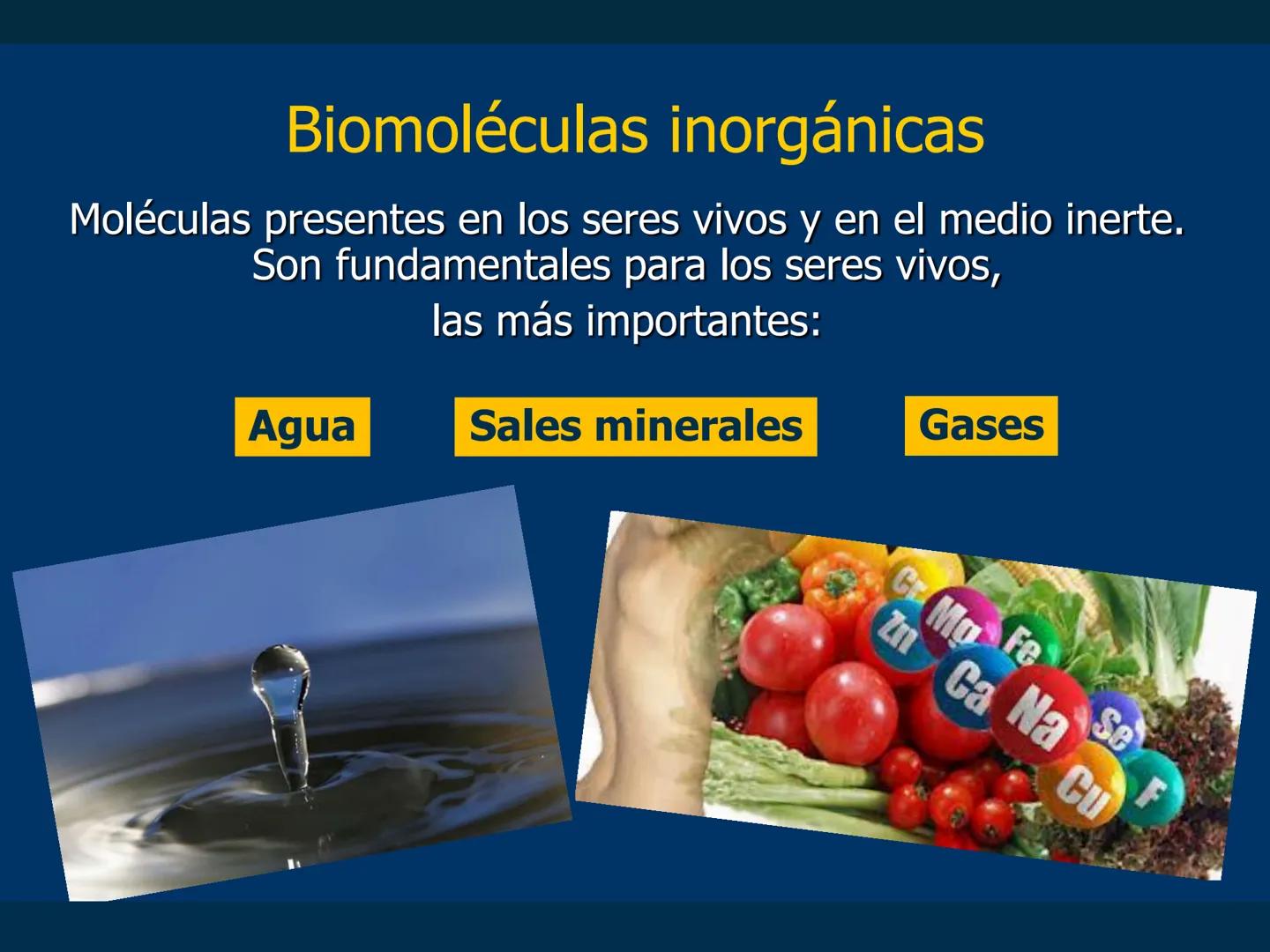 # Biomoléculas
Dra. Catiana Zampini
2019 # ¿Que compartimos todos los seres vivos? # Bioelementos
Elementos químicos que constituyen los se